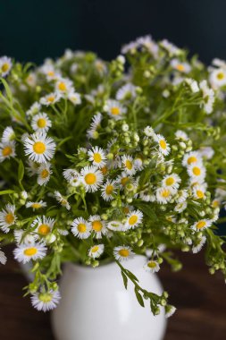 Papatya çayı. Tahta masadaki beyaz vazoda papatya çiçekleri.. 