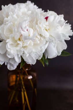 bir Vazoda beyaz peonies