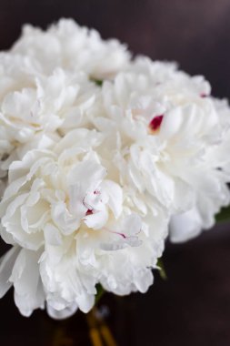 bir Vazoda beyaz peonies