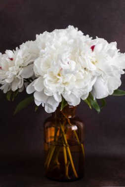 bir Vazoda beyaz peonies