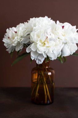 bir Vazoda beyaz peonies