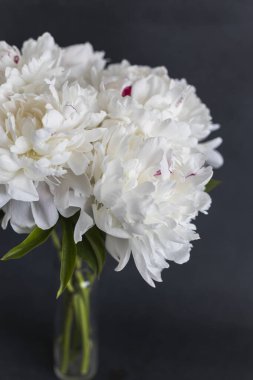 bir Vazoda beyaz peonies