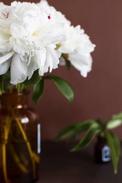White Peonies Vase — Stock Photo, Image