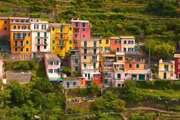 Cinque Terre, İtalya — Stok fotoğraf