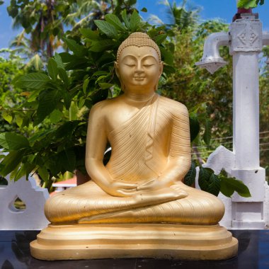 Buda heykeli