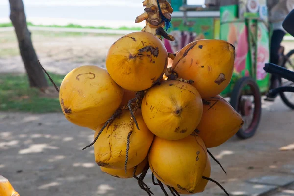 Noci di cocco — Foto Stock