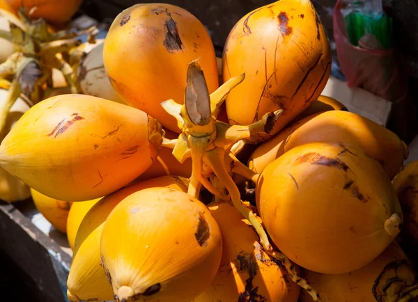 Noci di cocco — Foto Stock