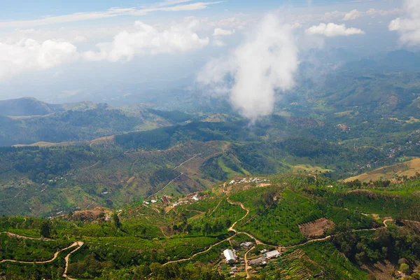 Haputale, sri lanka çay tarlaları peyzaj — Stok fotoğraf