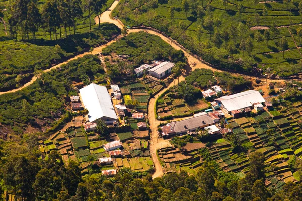 Paesaggio di piantagioni di tè a Haputale, Sri Lanka — Foto Stock