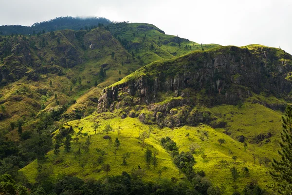 Beautiful mountains in Haputale, Sri Lanka — Stock Photo, Image