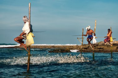 Sri Lankalı geleneksel balıkçı Stick Hint Okyanusu