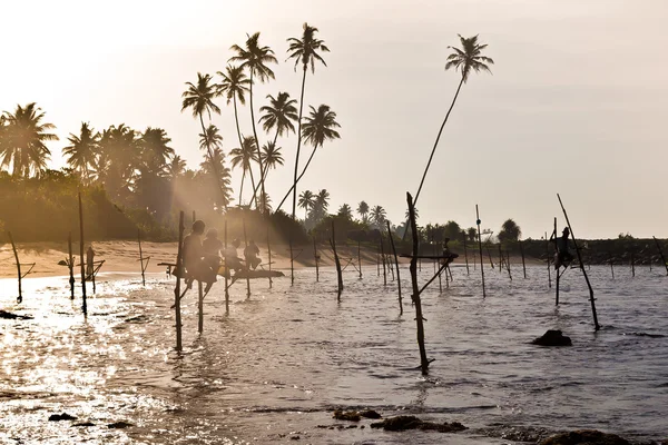 Sri Lanka traditioneller Fischer am Stock im Indischen Ozean — Stockfoto