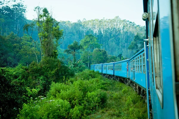 Viaggiare in treno attraverso paesaggi montani panoramici — Foto Stock