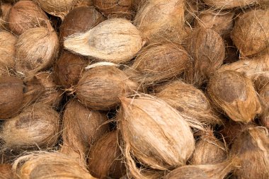 hindistancevizi arka plan