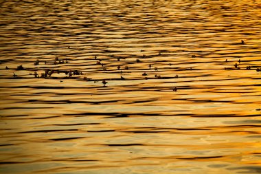 Gölde gün batımı