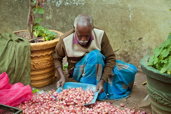 Seller of onions — Stock Photo, Image