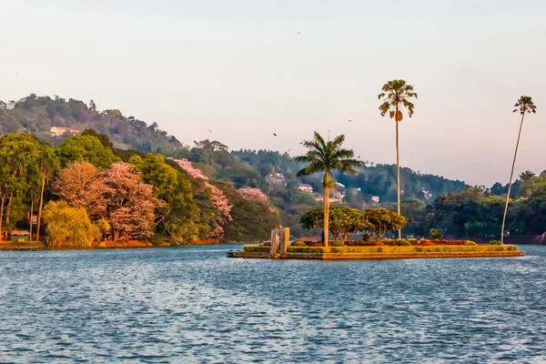 Petite île avec palmiers au milieu du lac de Kandy — Photo