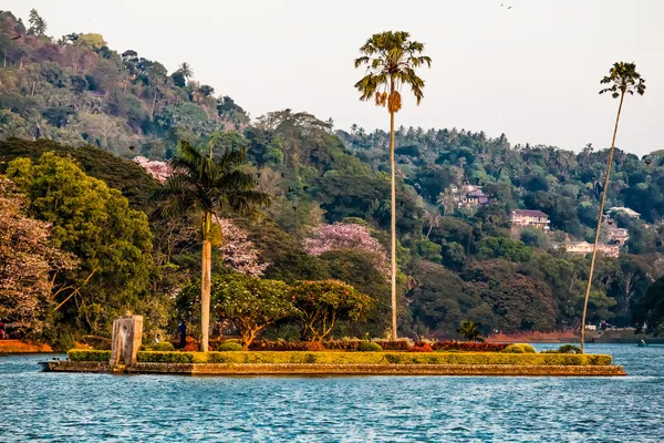 Petite île avec palmiers au milieu du lac de Kandy — Photo
