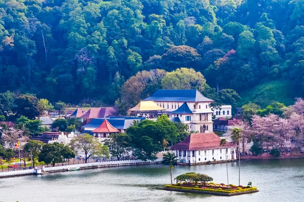 Chrám zubu, kandy, Srí lanka — Stock fotografie