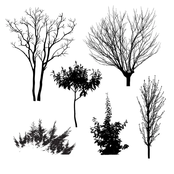 Träd silhuetter Vektorgrafik