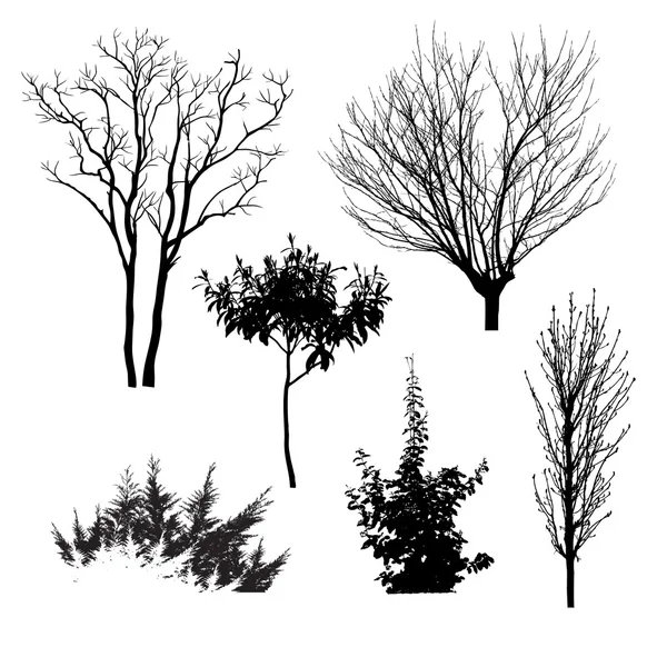 Árboles siluetas Gráficos vectoriales