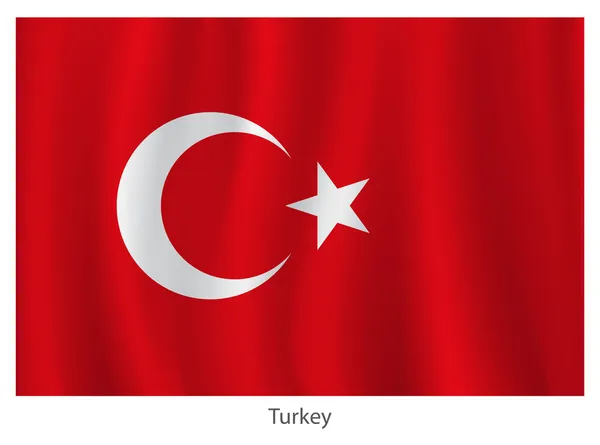 Turcja wektor flaga — Wektor stockowy