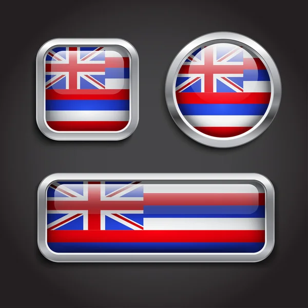 Hawaii flag glass buttons — Stock Vector