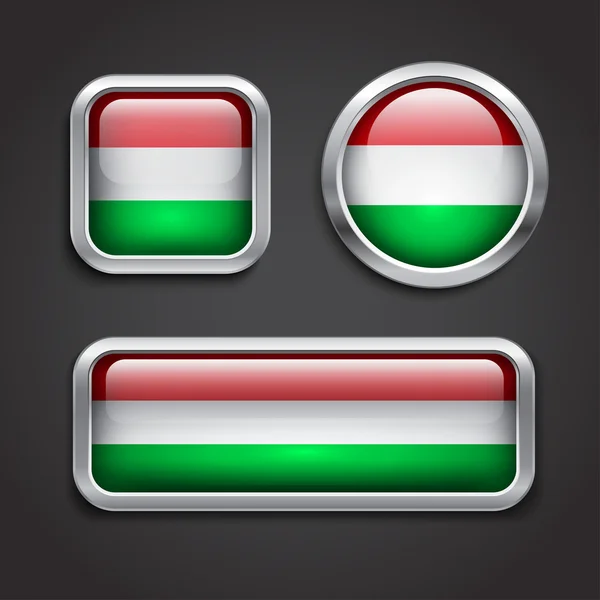 Hungary flag glass buttons — Stock Vector