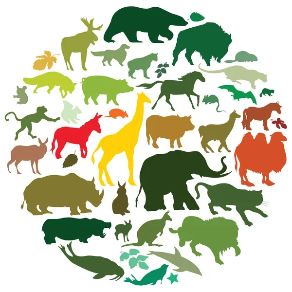 Dieren — Stockvector