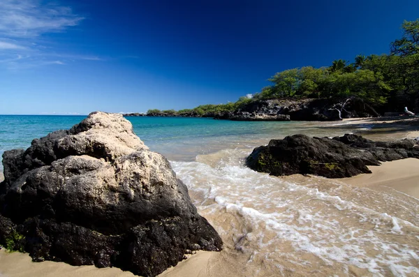 puako beach bazalt kayaların üzerinden sörf tatili