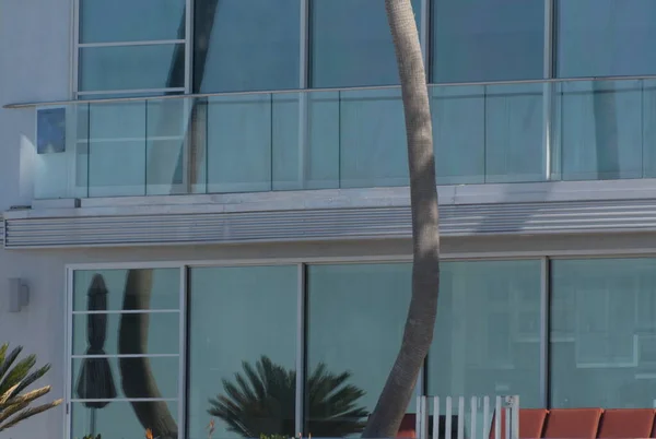 Palm Tree Trunk Its Reflection Glass Wall Building Mission Boardwalk — Foto Stock