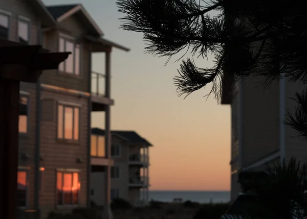 Pine Needles Frame Glowing Sunset Condo Building Westport Light State — Stock Photo, Image