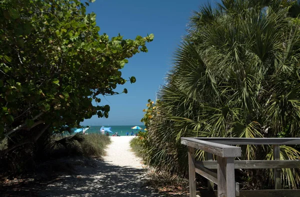 Trail Nokomis Beach Venice Florida — Stock Photo, Image