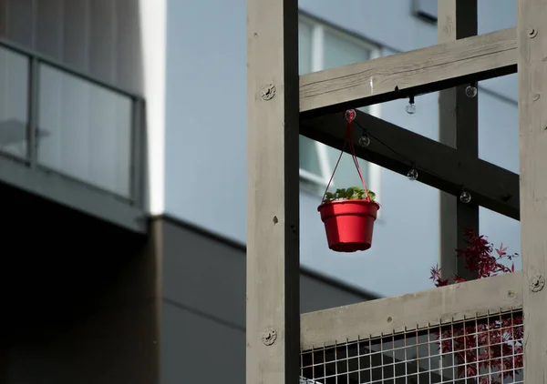 Ярко Красный Цветочный Горшок Балконе Центре Города Редмонд Пригород Сиэтла — стоковое фото