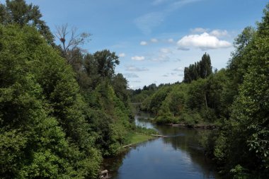 Merkez Bağlantı Yolu 'ndan Sammamish Nehri' ni ve Redmond şehir merkezi yakınlarındaki Eastrail Köprüsü 'nü izliyoruz.