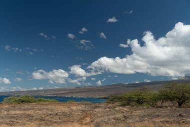 Hapuna beach, Big Island, Hawaii yakınındaki tepelerde yaz sıcağında