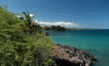 Waialea plajı ile Hapuna, Büyük Ada ve Hawaii arasında ormanda yürüyüş.