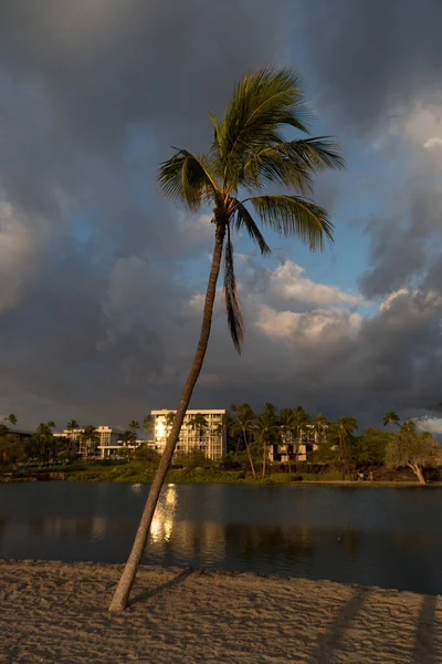 Storm Sunset Anaehoomalu Palm Trees Big Island Hawaii — Stock Photo, Image