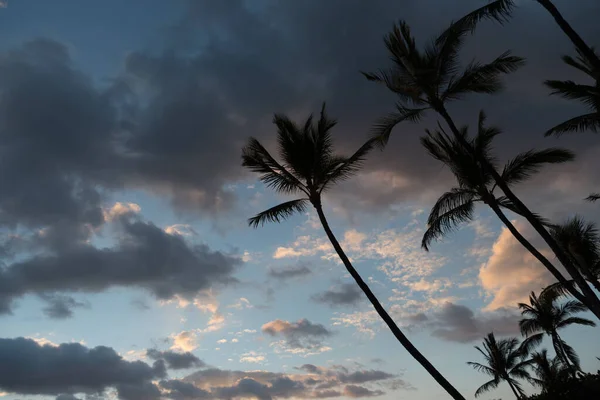 Puesta Sol Sobre Palmeras Bahía Anaehoomalu Waikoloa Isla Grande Hawai —  Fotos de Stock