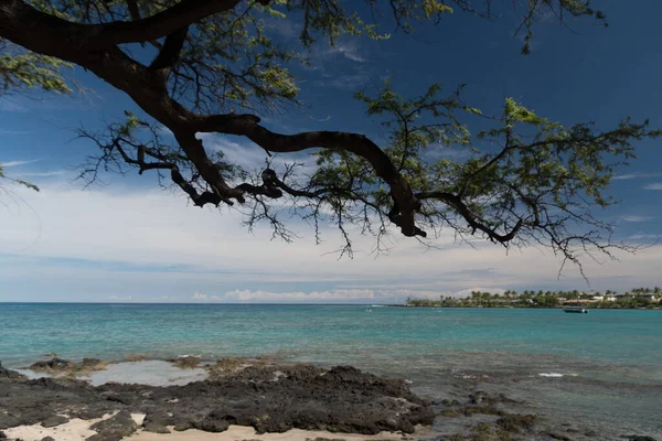 Caminhando Linha Surf Anaehoomalu Waikoloa Big Island Havaí — Fotografia de Stock