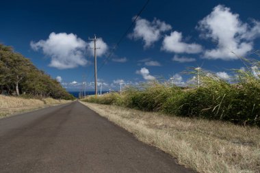 Upolu Noktası yakınlarındaki yel değirmeni çiftliğine giden yol üzerinde direkler ve kablolar olan Büyük Ada, Hawaii