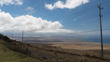 Hawi ile Waimea, Büyük Ada, Hawaii arasındaki Kohala Dağı Otobanı yakınlarındaki dağlık bölgelerde yürüyüş.