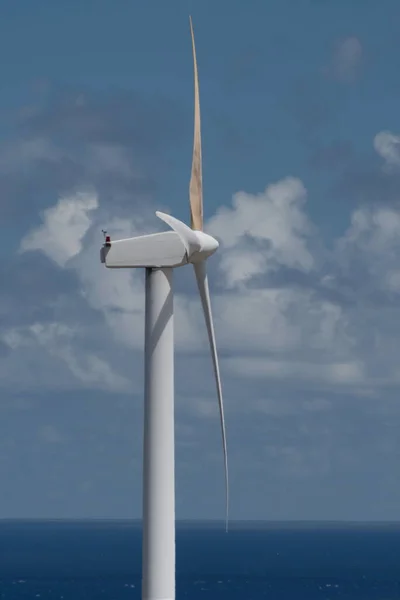 ハワイのビックアイランド 北コアラのウポール空港近くのハワイの風力発電所 — ストック写真