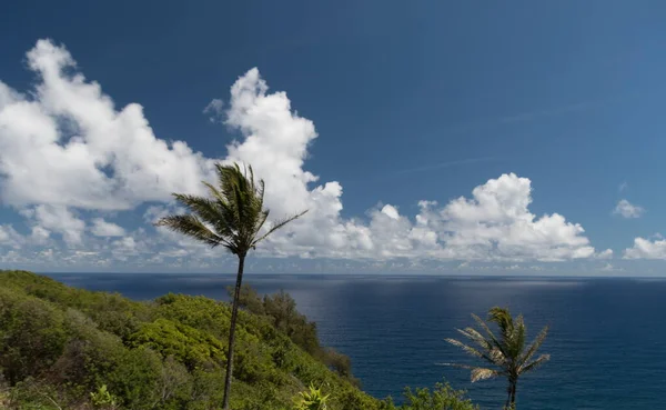 Utsikt Över Pololu Point Med Stillahavshorisont Bakgrunden Nordkohala Big Island — Stockfoto