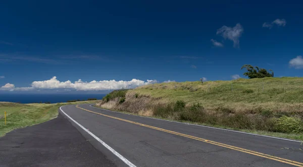 Wandelen Hooglanden Nabij Kohala Mountain Highway Tussen Hawi Waimea Big — Stockfoto