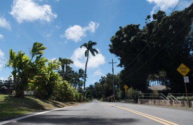 Empty road with  dead end sign in Hawi, Kohala, Big Island, Hawaii clipart