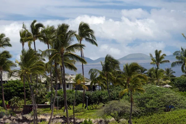 Resort Waikoiloa Mauna Kea Background Big Island Hawaii — Stock Photo, Image