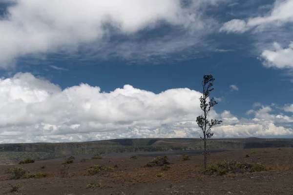 Rozlehlý Prázdný Prostor Kolem Kráteru Kilauea Při Pěší Túře Kau — Stock fotografie