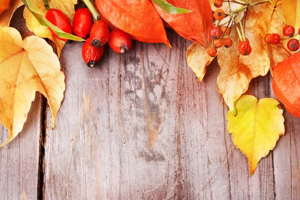 Autumnal border on wooden table, still life. — Stock Photo, Image