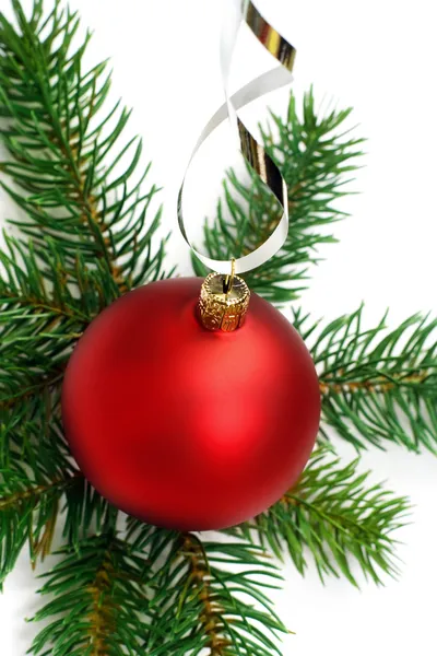 Christmas bauble and pine branches background — Stock Photo, Image